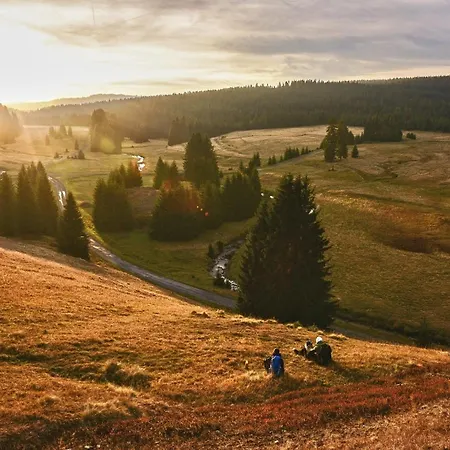 Apartmán Rezidence Makart *